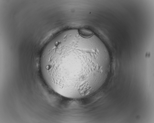 X0000111030115200907091554