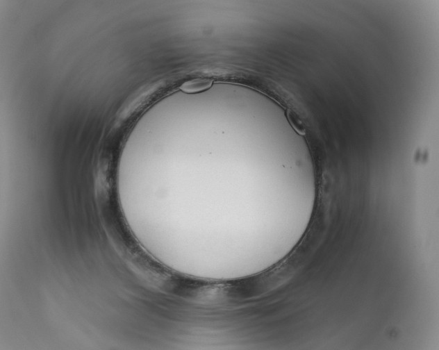 X0000111030116200907091554