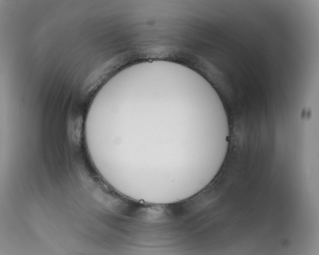 X0000111030118200907091554