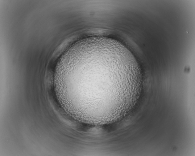 X0000111030119200907091554