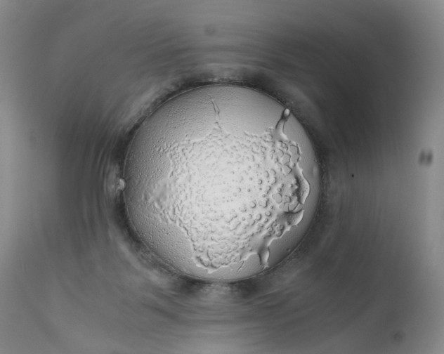 X0000111030123200907091554