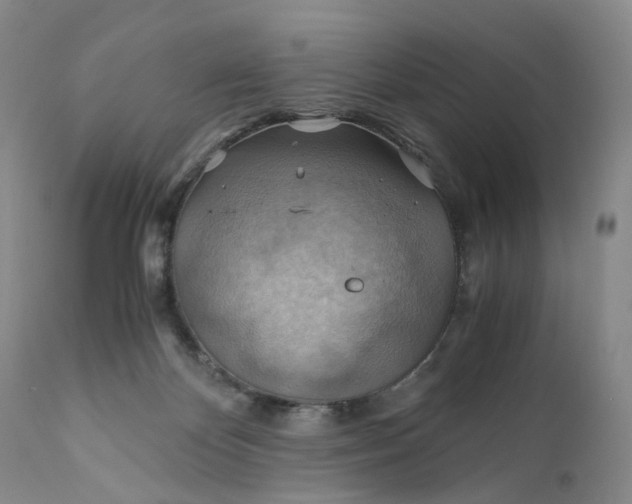 X0000111030124200907091554