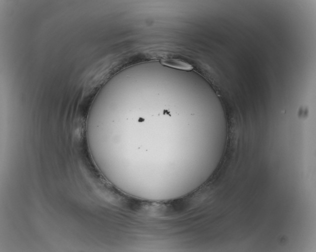 X0000111030125200907091554