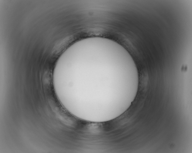 X0000111030126200907091554
