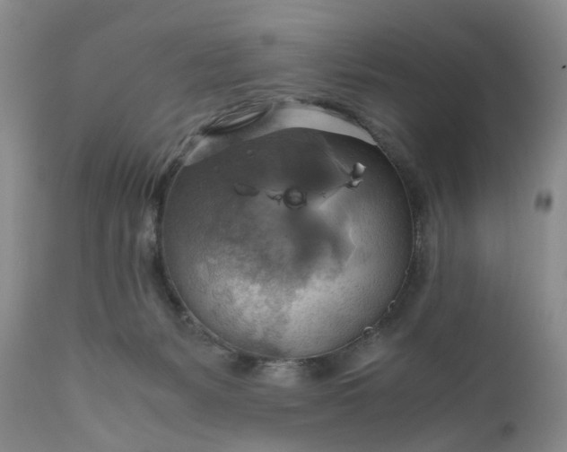 X0000111030127200907091554