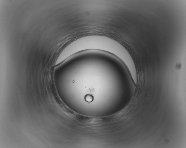 X0000111030128200907091554