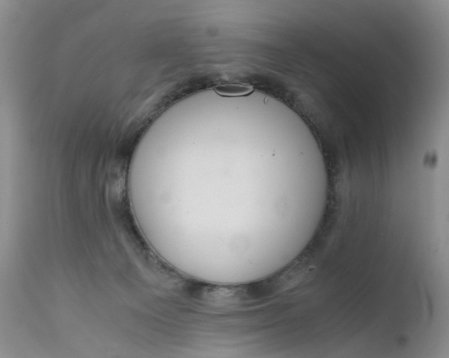 X0000111030129200907091554
