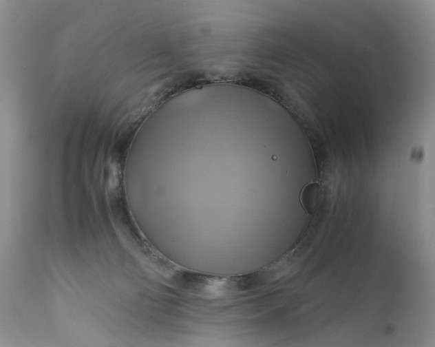 X0000111030130200907091554
