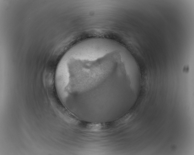 X0000111030131200907091553