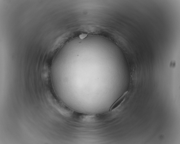 X0000111030132200907091553