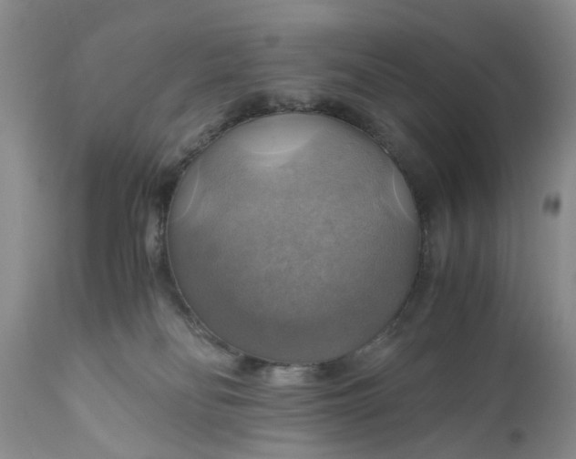 X0000111030134200907091553