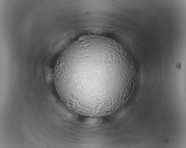 X0000111030135200907091553