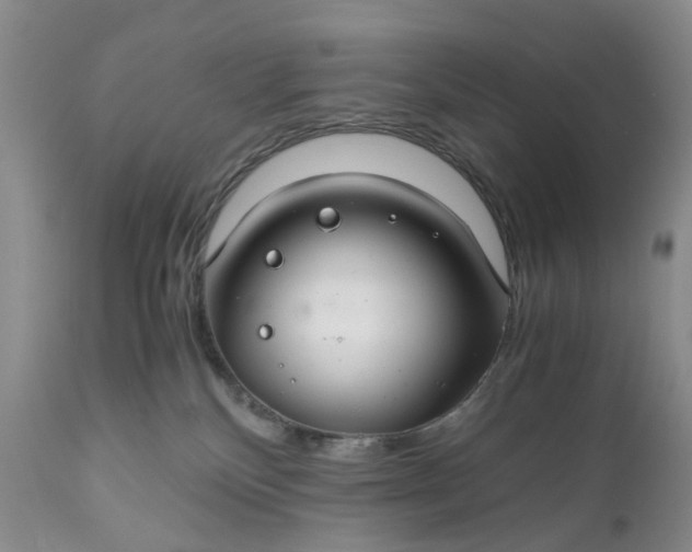 X0000111030136200907091553