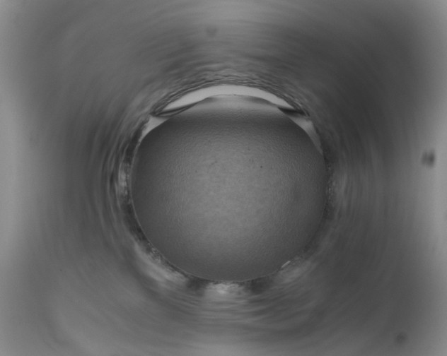 X0000111030137200907091553