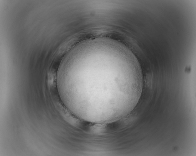 X0000111030138200907091553