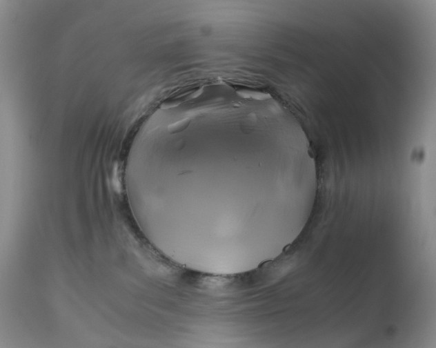 X0000111030139200907091553