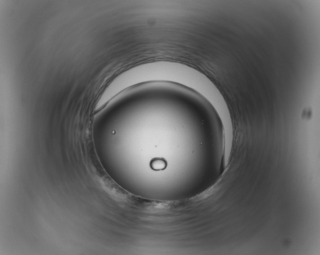 X0000111030140200907091553