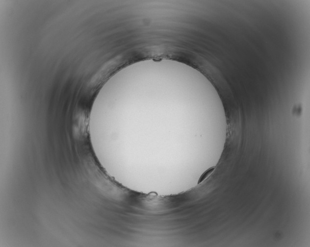 X0000111030142200907091553