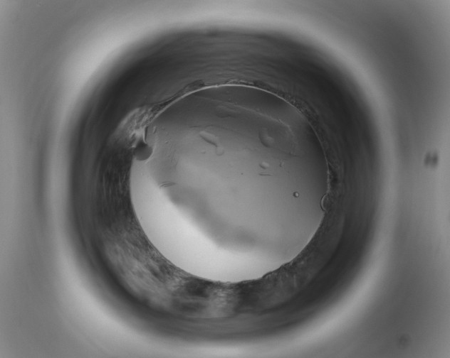 X0000111030143200907091553
