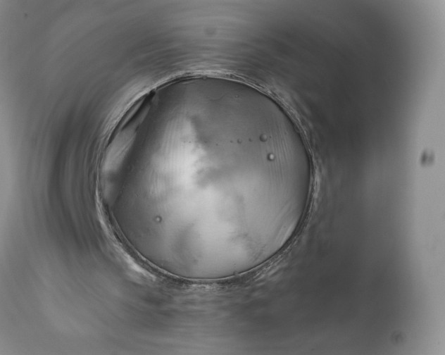 X0000111030145200907091553