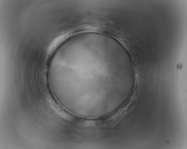 X0000111030149200907091553