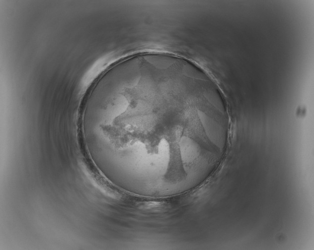 X0000111030151200907091553
