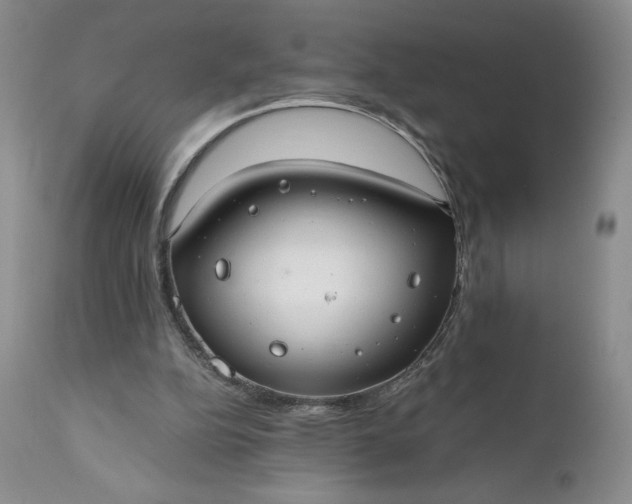 X0000111030152200907091553