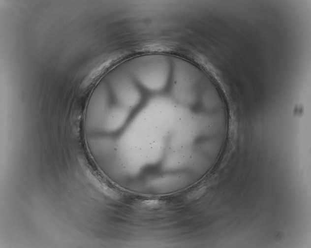 X0000111030153200907091553