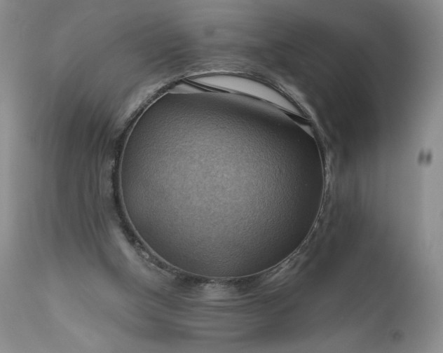X0000111030154200907091553