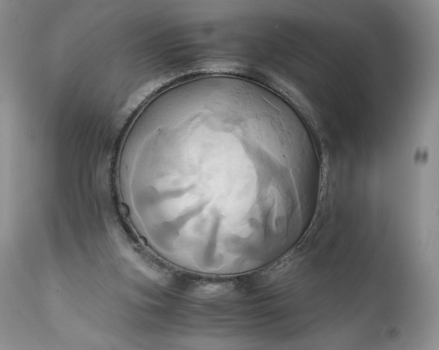 X0000111030155200907091553