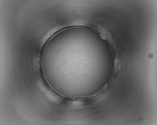 X0000111030156200907091553