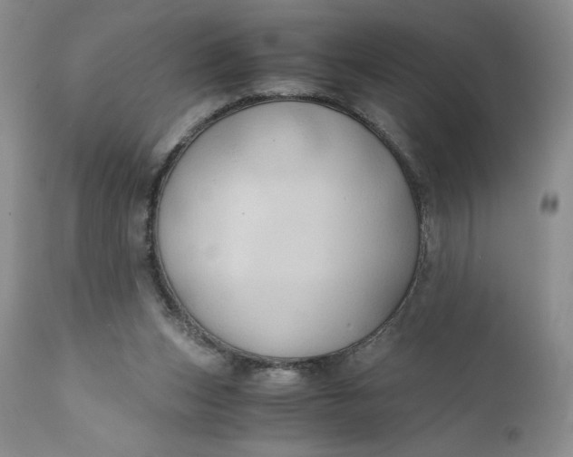 X0000111030159200907091553