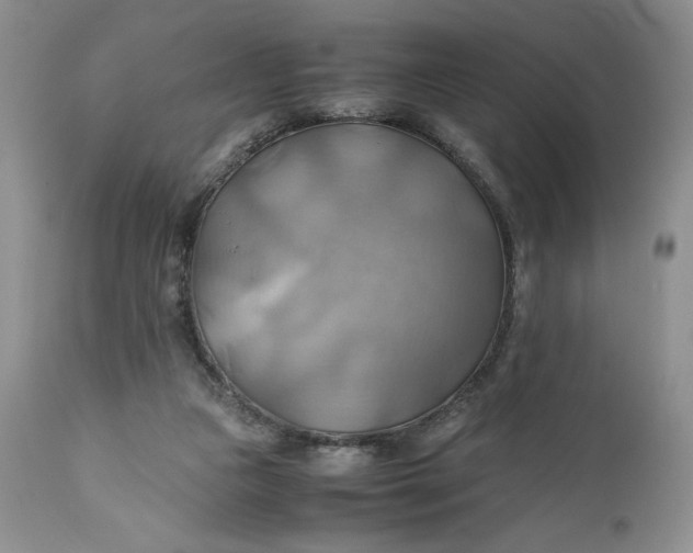 X0000111030161200907091553