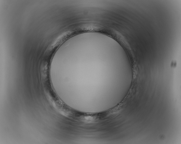 X0000111030163200907091553