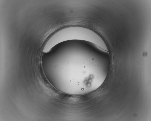 X0000111030164200907091553