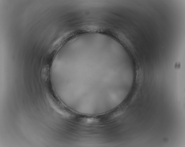 X0000111030165200907091553