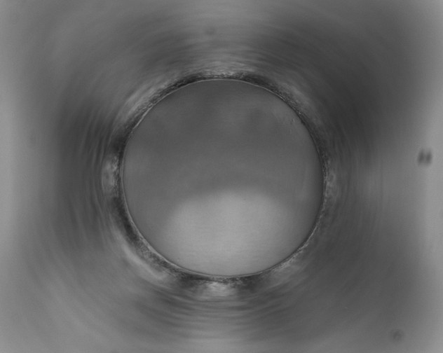 X0000111030166200907091553