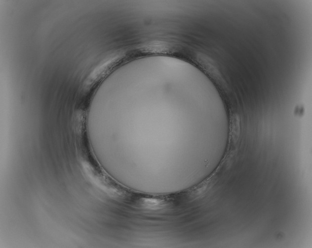 X0000111030167200907091553