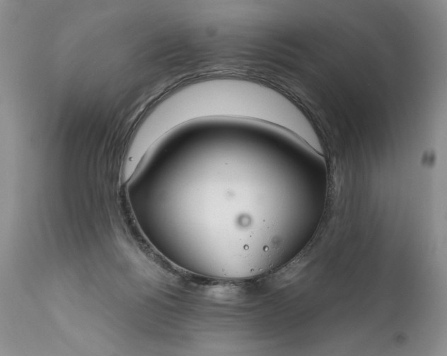 X0000111030168200907091553