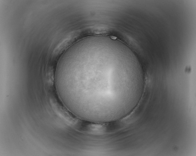 X0000111030170200907091553