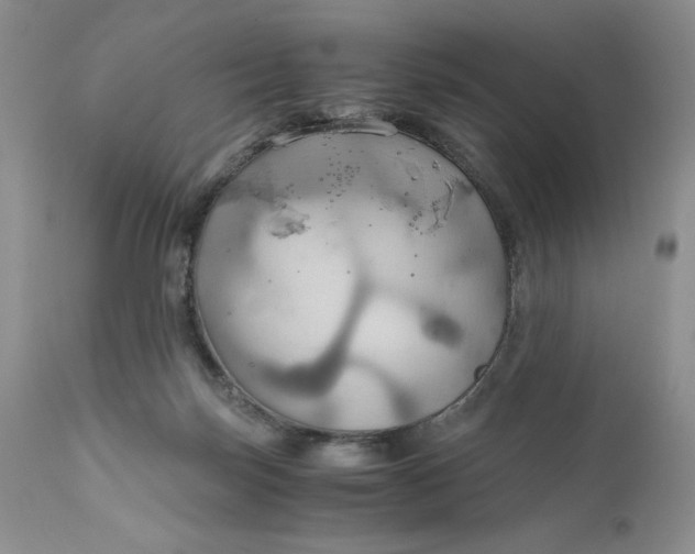 X0000111030171200907091553