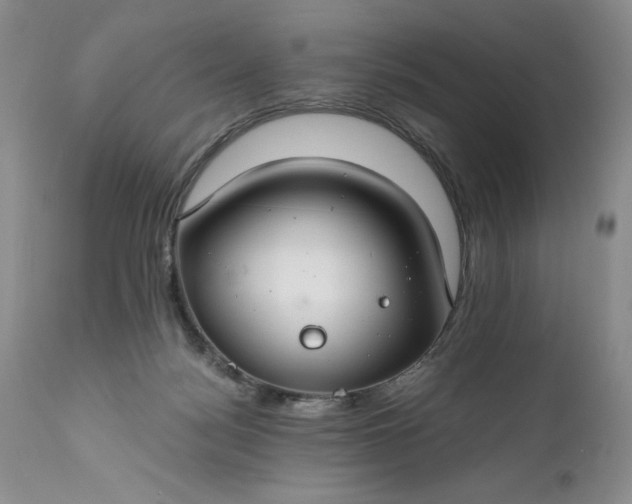 X0000111030172200907091553