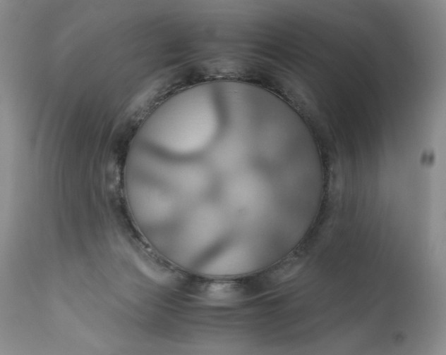 X0000111030173200907091553