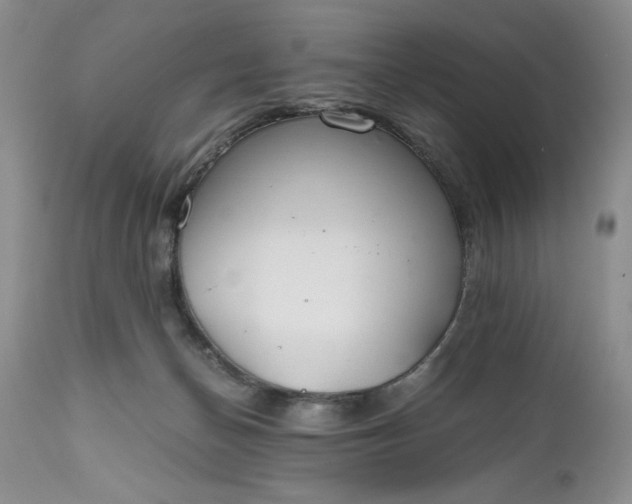 X0000111030174200907091553