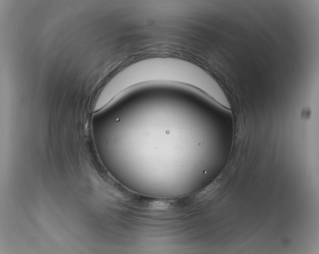 X0000111030176200907091553