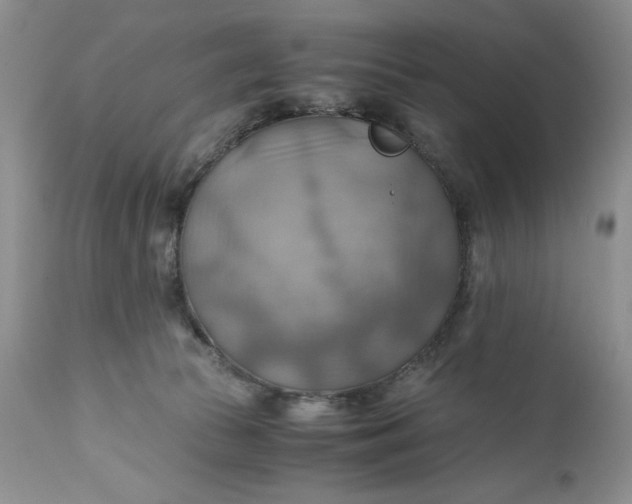 X0000111030177200907091553