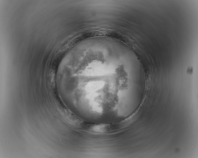 X0000111030178200907091553