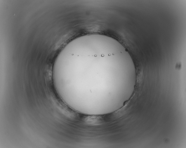 X0000111030179200907091553