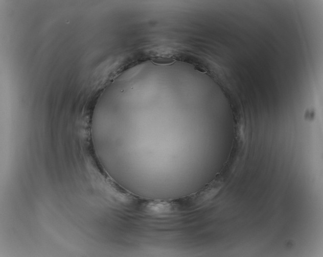 X0000111030181200907091553