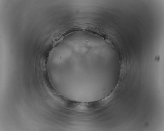 X0000111030182200907091553